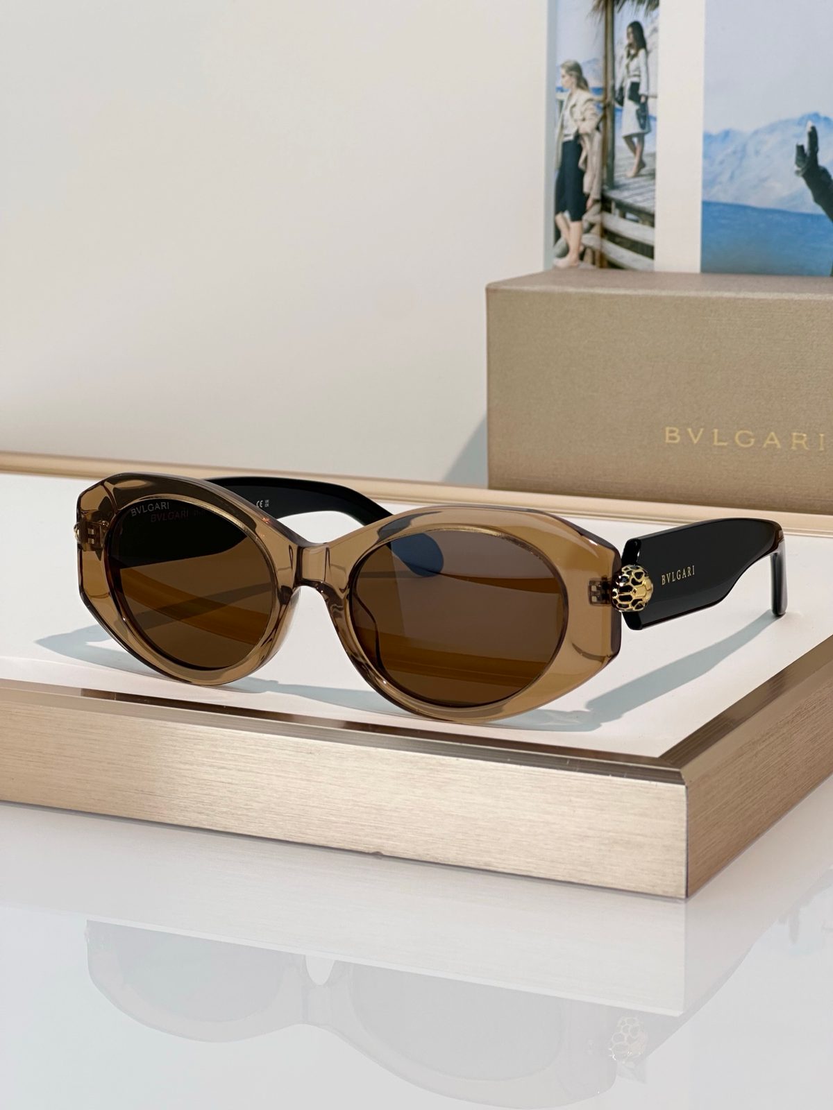 Bulgari Oversized Round Acetate Sunglasses