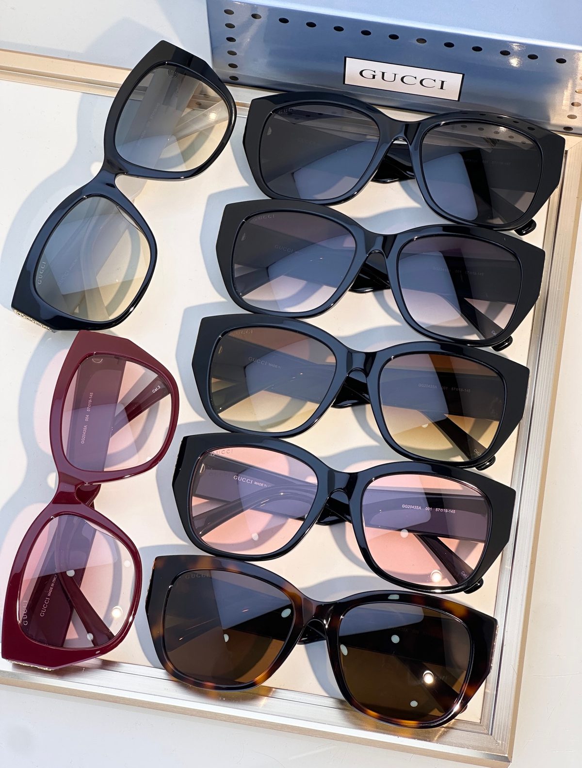 Gucci Designer Sunglasses Collection Display