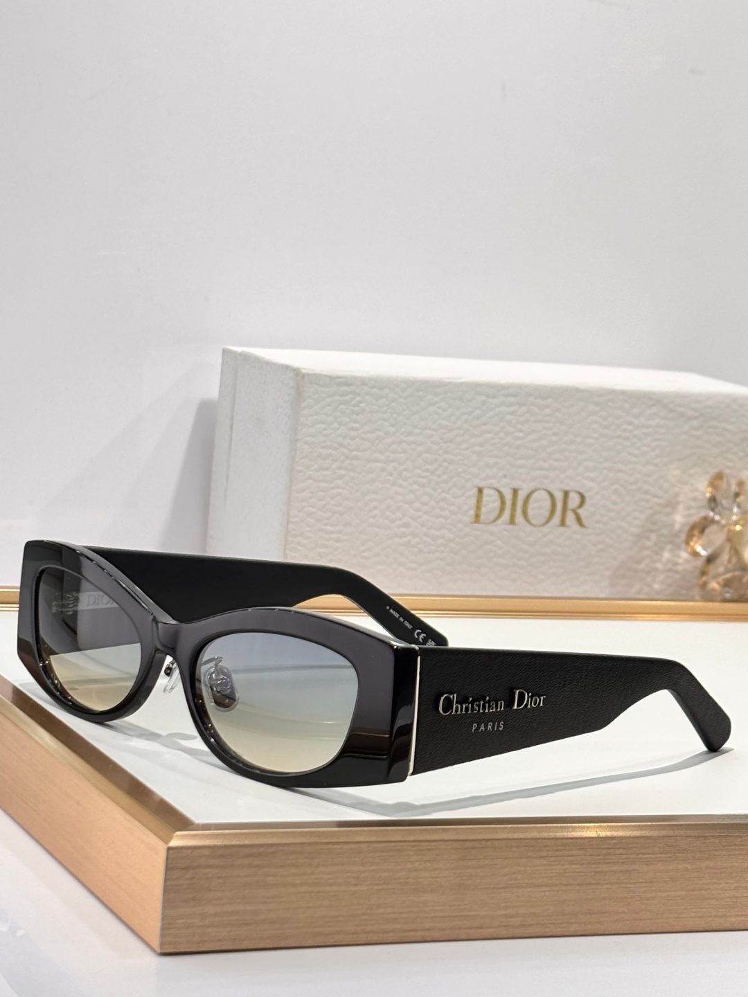 Christian Dior Black Oval Sunglasses