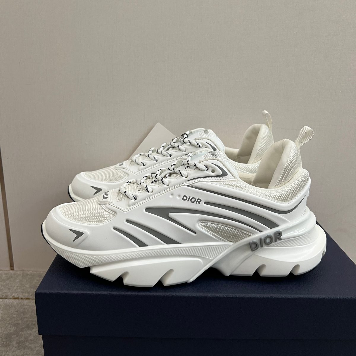 Dior B30 White Grey