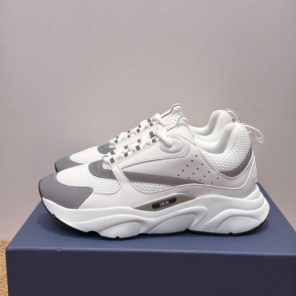 Dior B22 White Grey