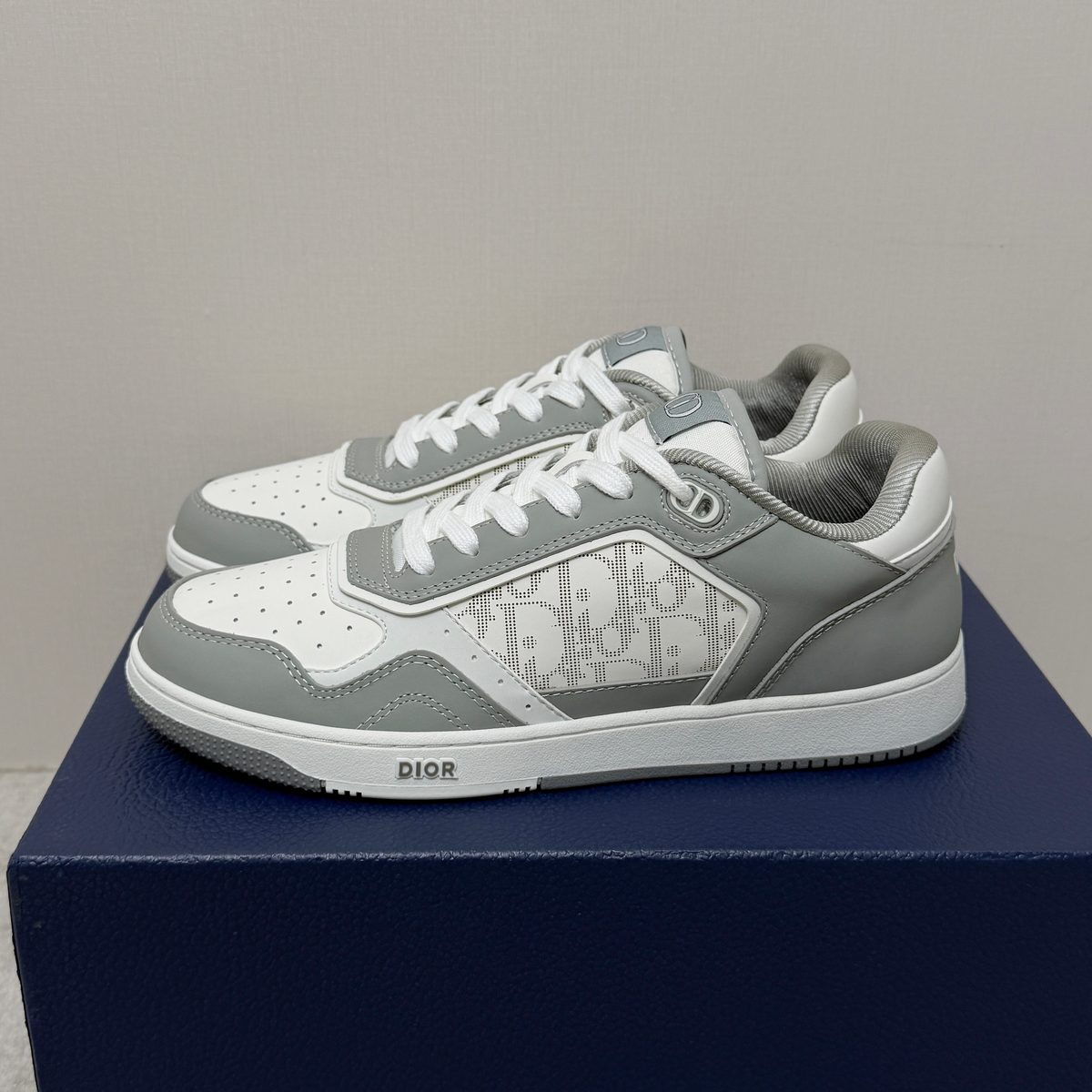 Dior B27 Low Grey White
