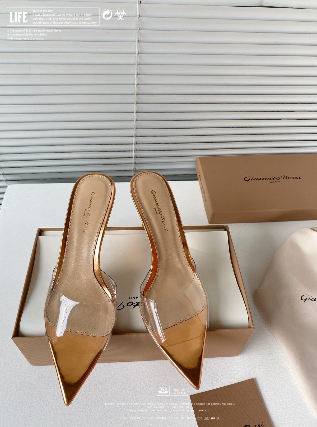 Gianvito Rossi Clear Pointed Toe Mules