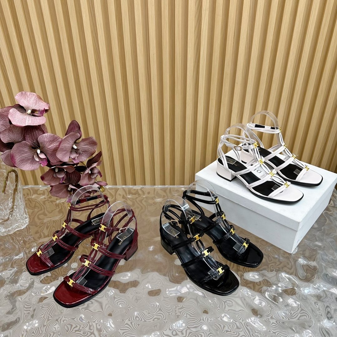 Celine Patent Leather Strappy Block Heel Sandals
