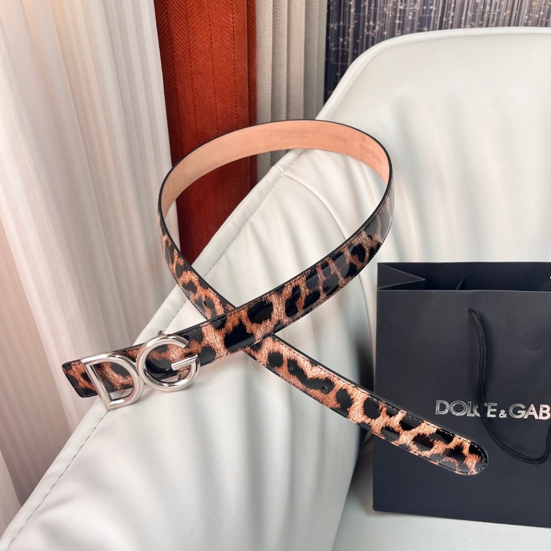 Belt DG Accessory