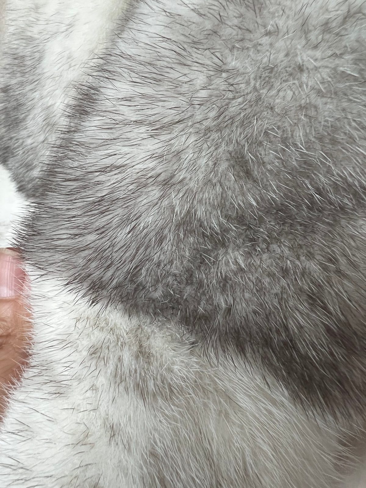 Luxury Cashmere Coat with Mink Fur Trim
