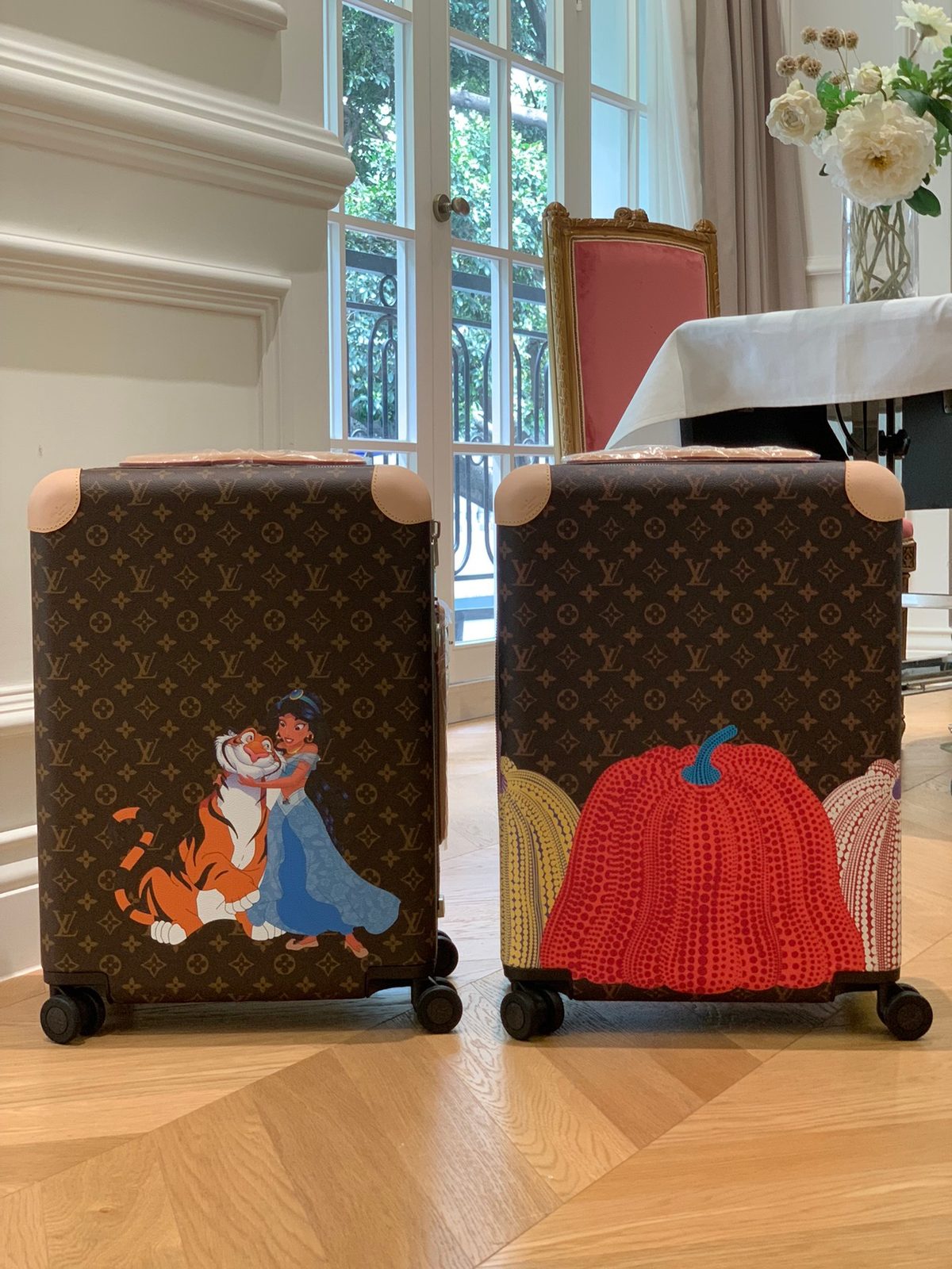 Suitcase/Case Trolley case