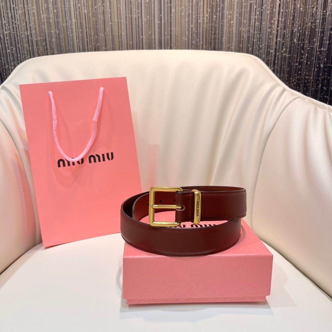 Luxury Designer Belt