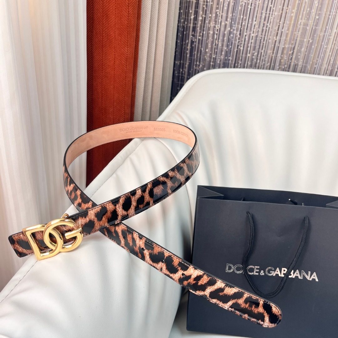 Belt DG Accessory