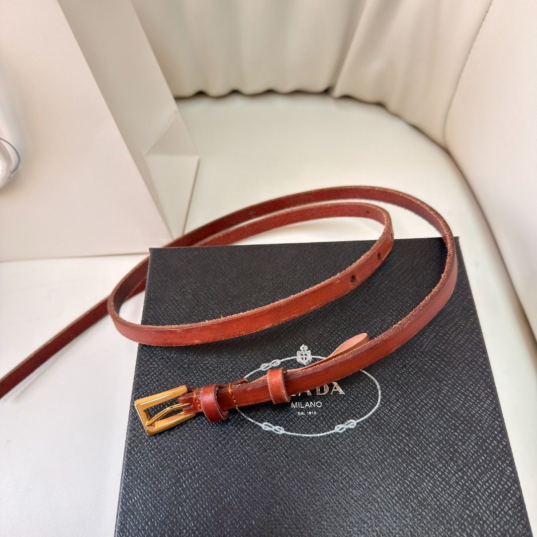 Luxury Designer Belt