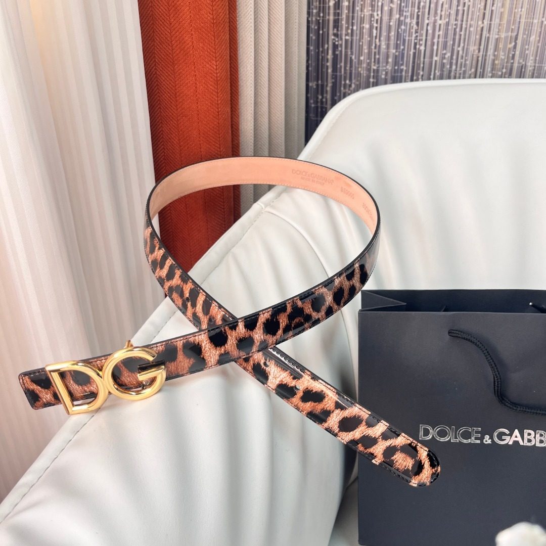 Belt DG Accessory
