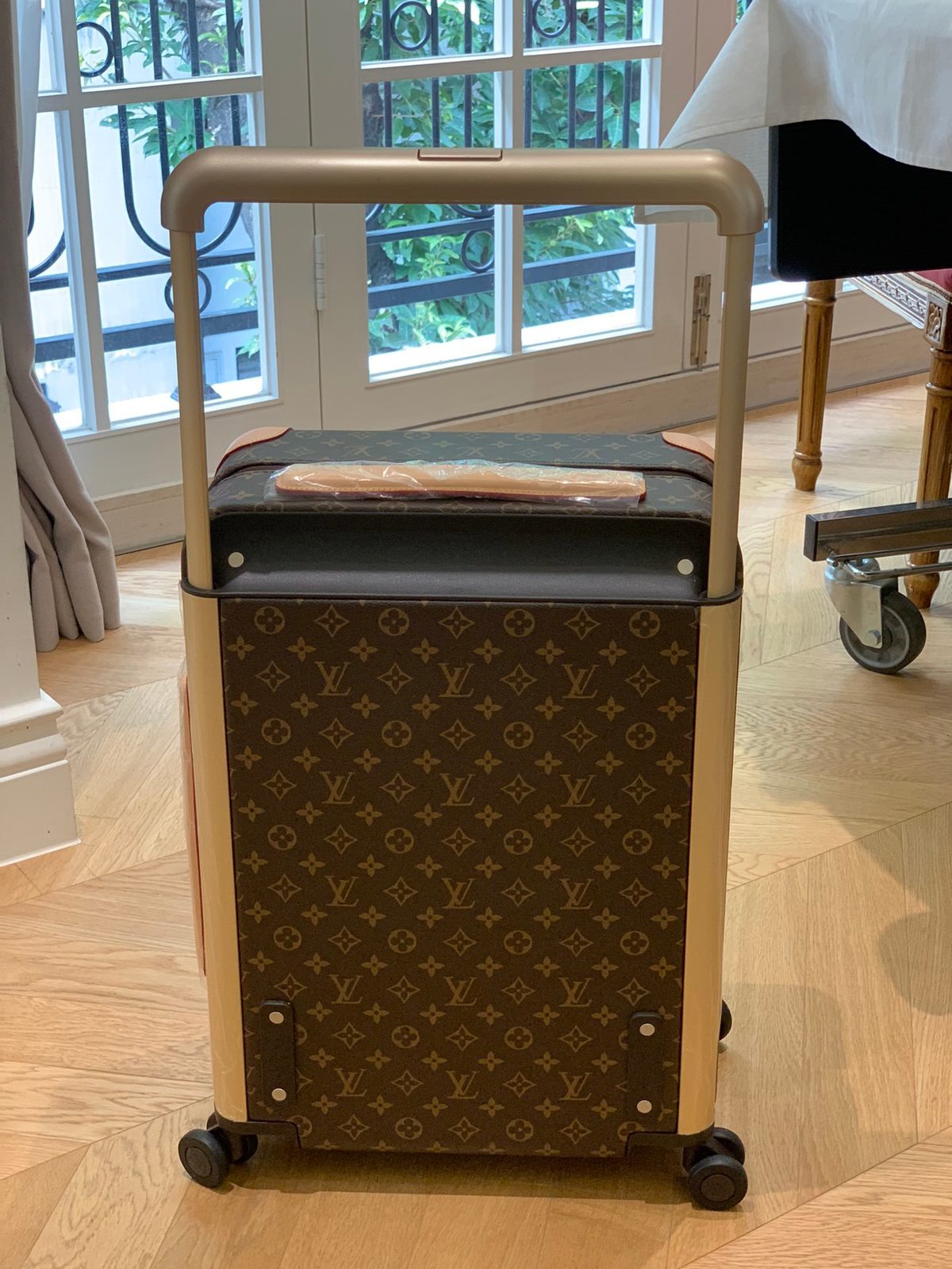 Suitcase/Case Trolley case