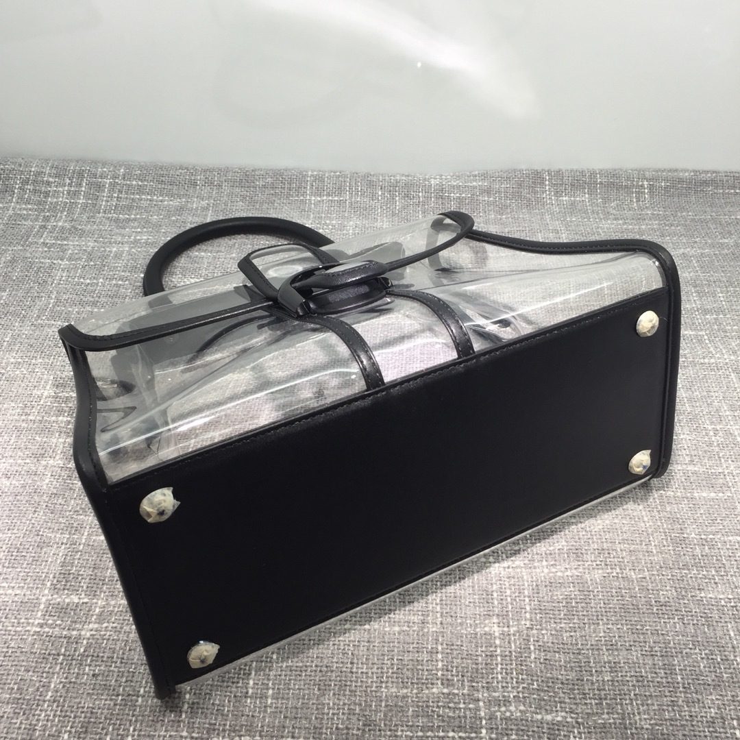 Louis Vuitton Delvaux X-ray bag