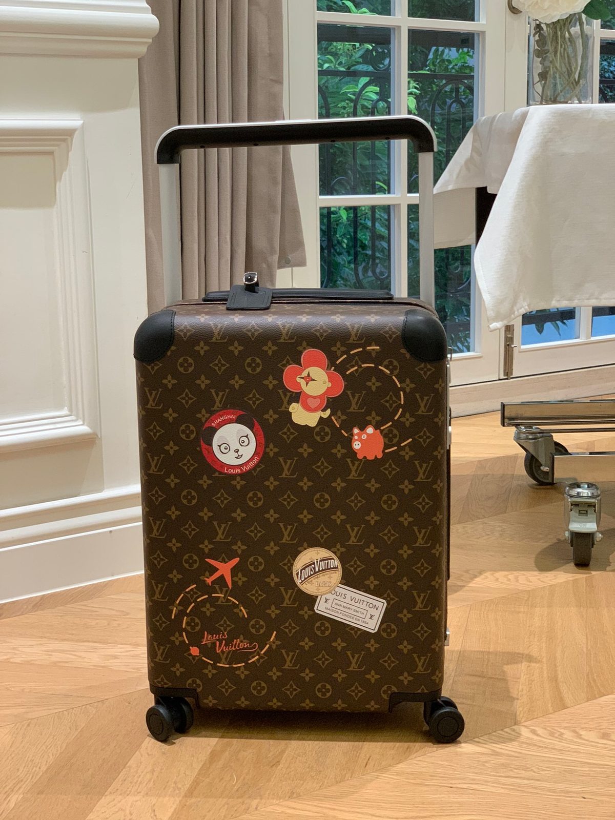 Suitcase/Case Trolley case