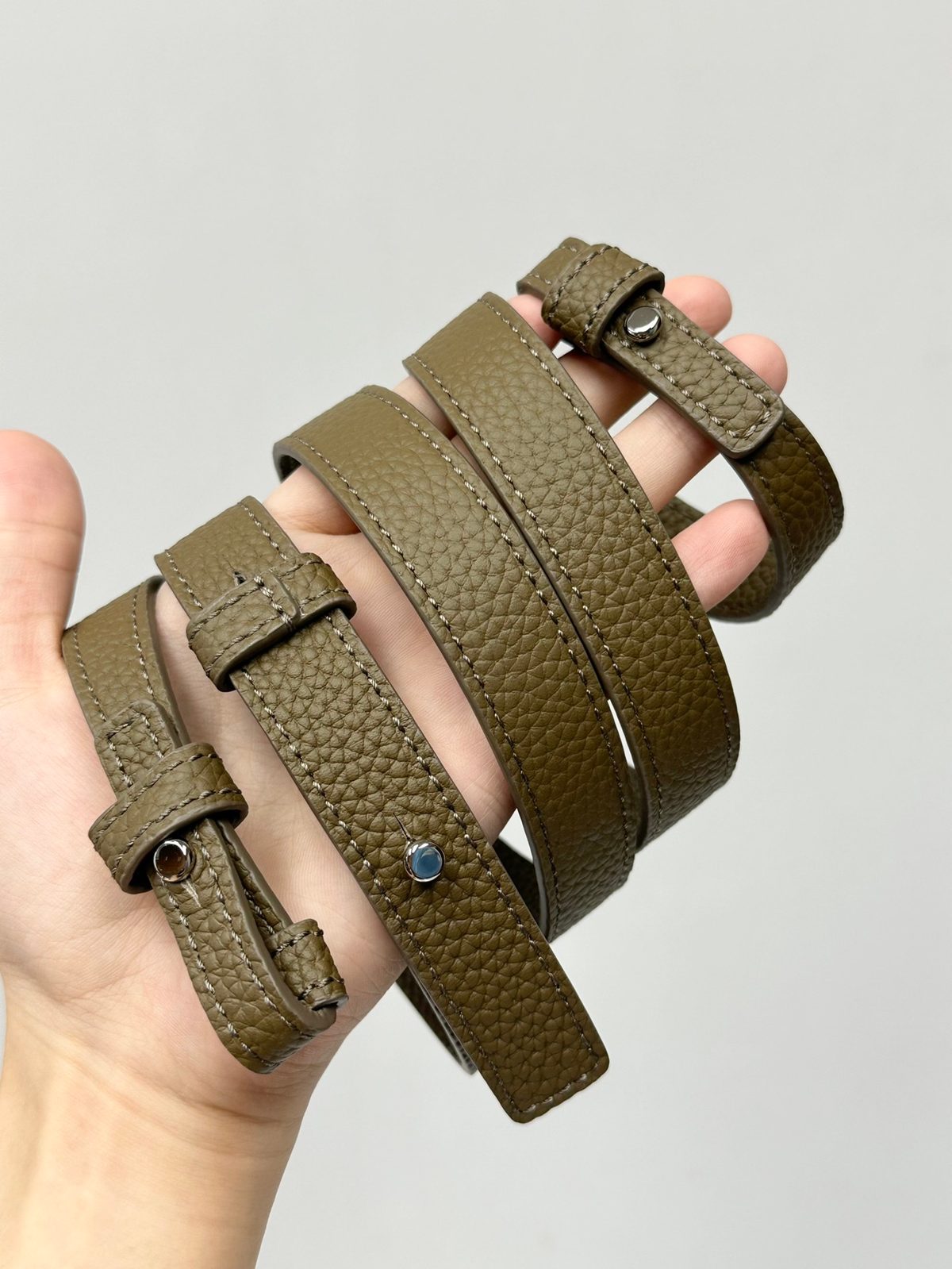 Delvaux Leather Crossbody Bag Olive