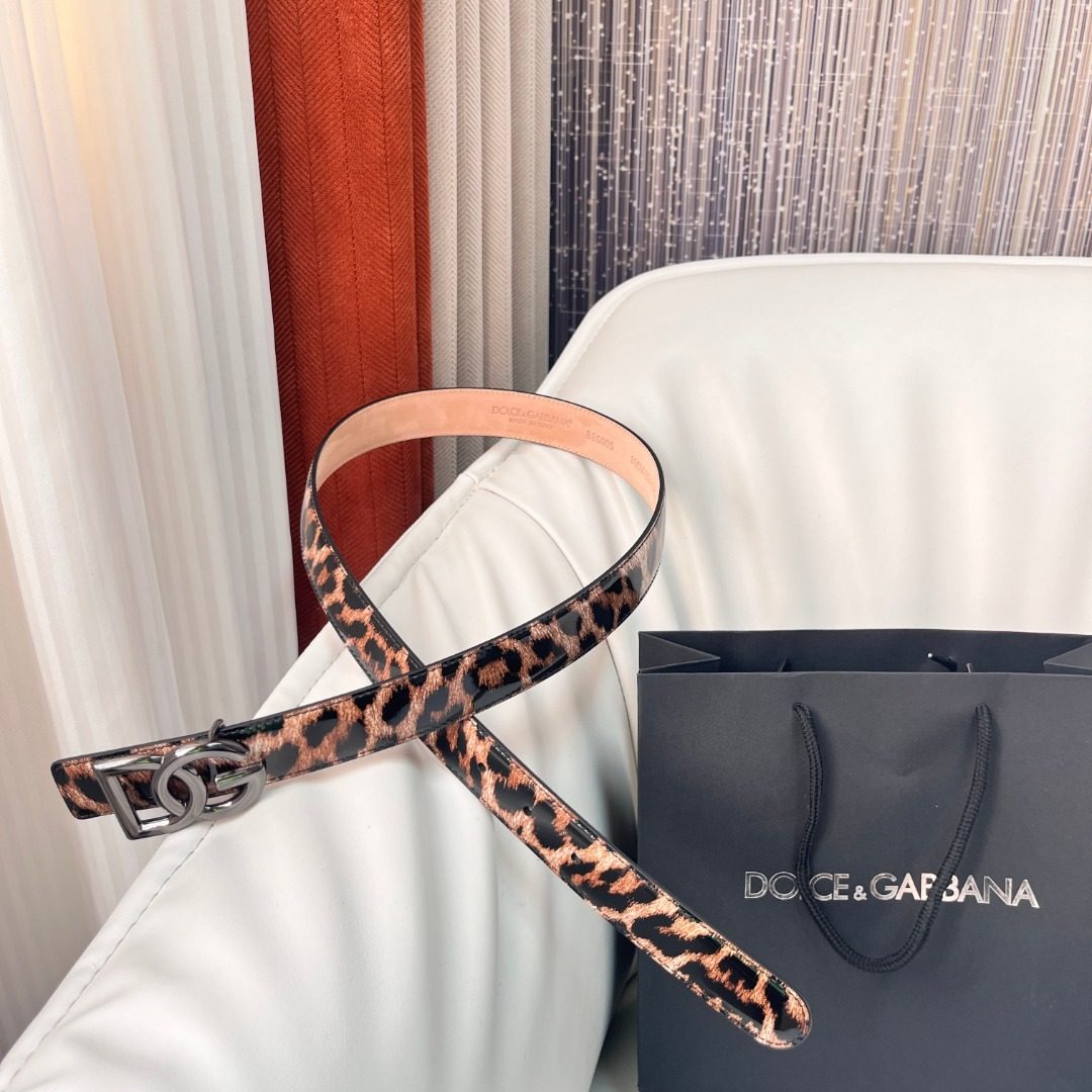 Belt DG Accessory