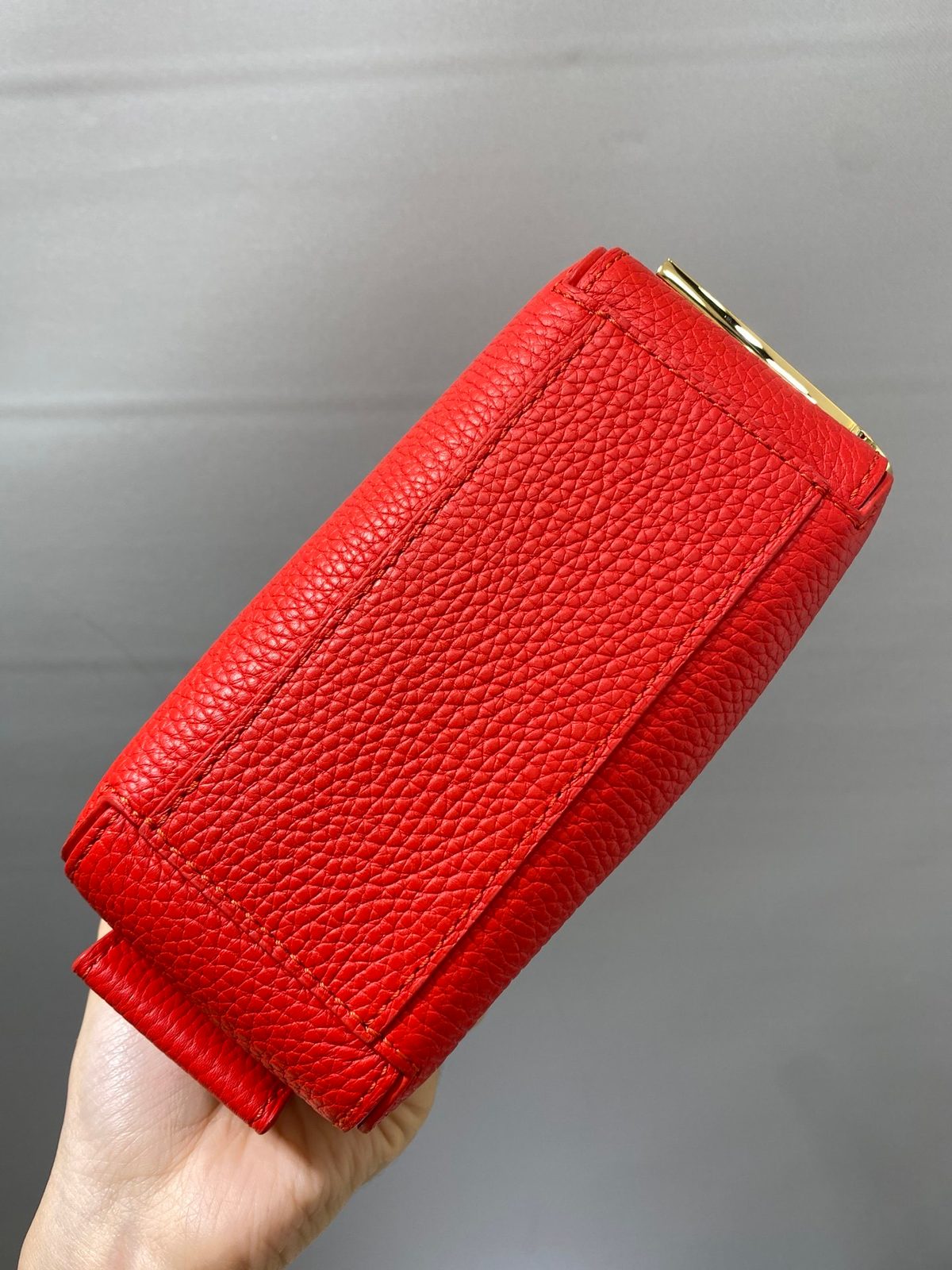 Louis Vuitton Cool box /nano16.5