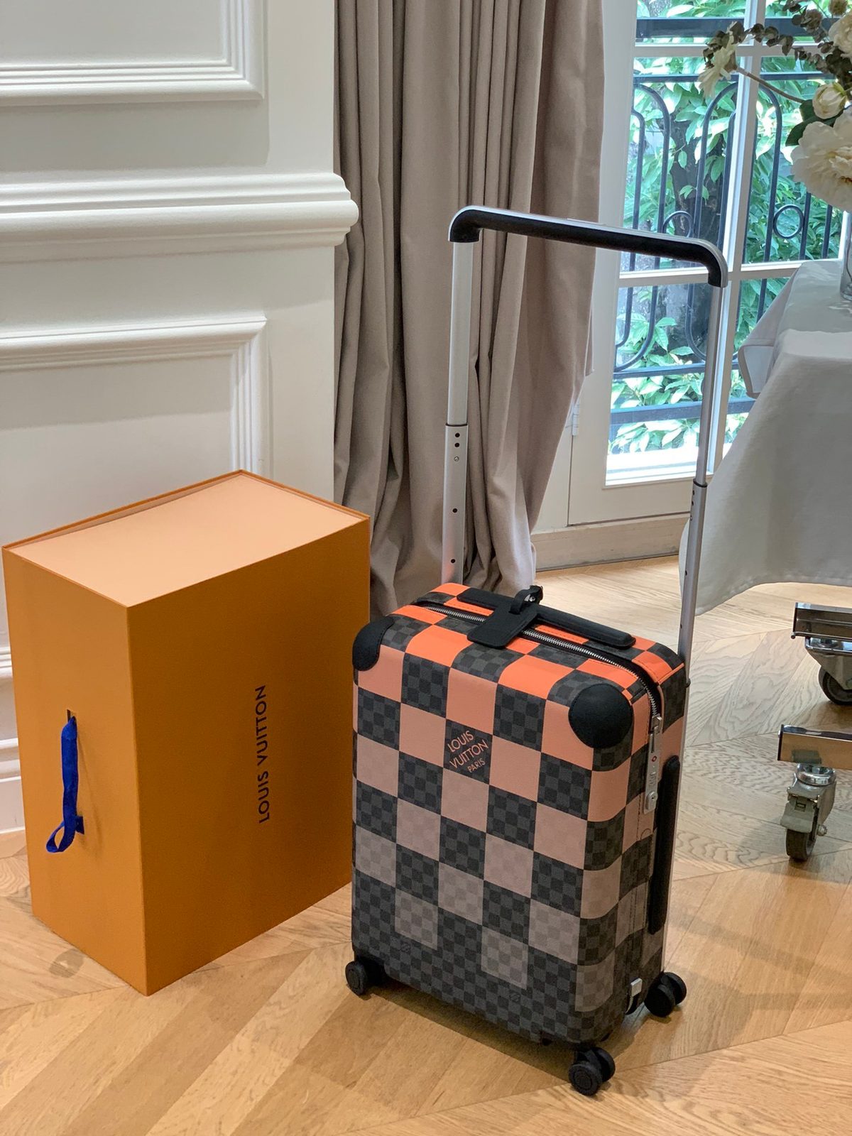 Suitcase/Case Trolley case