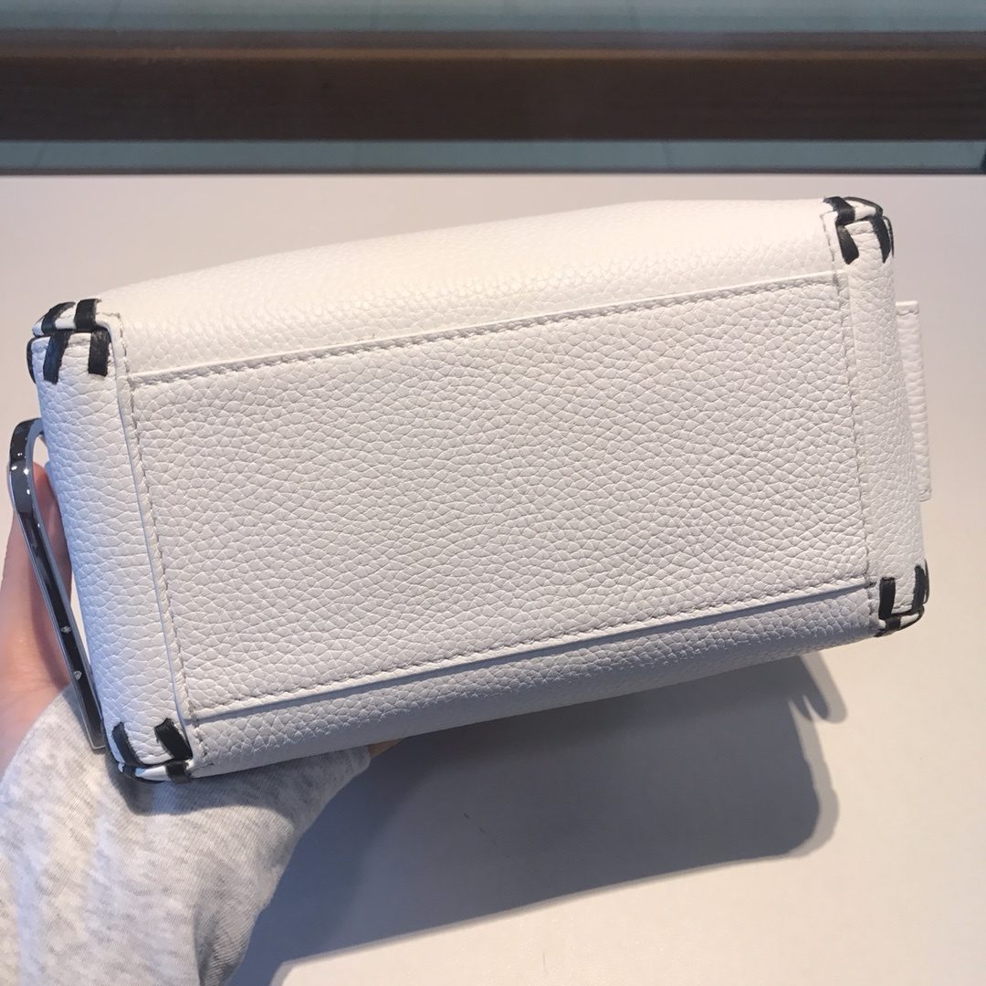 Delvaux Leather Crossbody Bag White